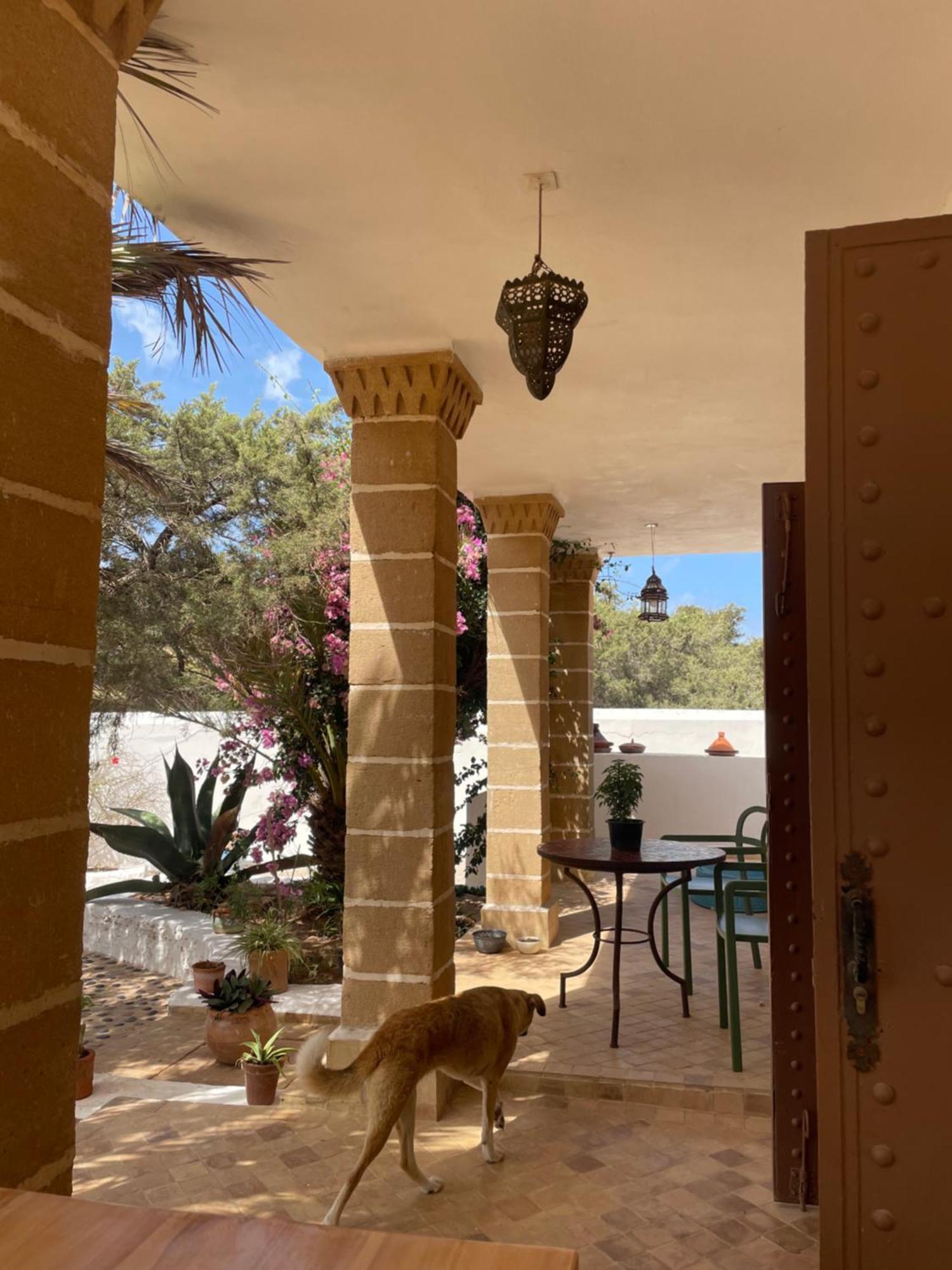 Hotel Villa Soleil Sidi Kaouki Dış mekan fotoğraf