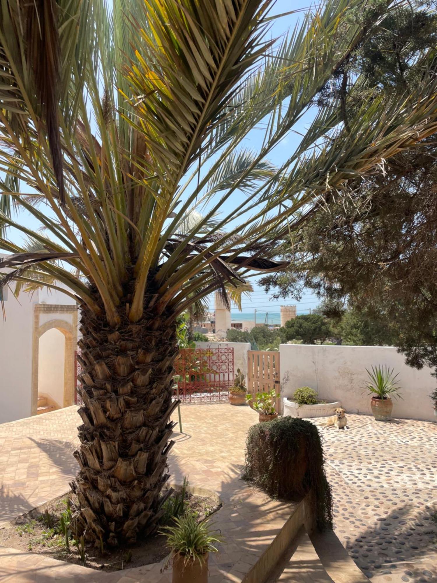 Hotel Villa Soleil Sidi Kaouki Dış mekan fotoğraf